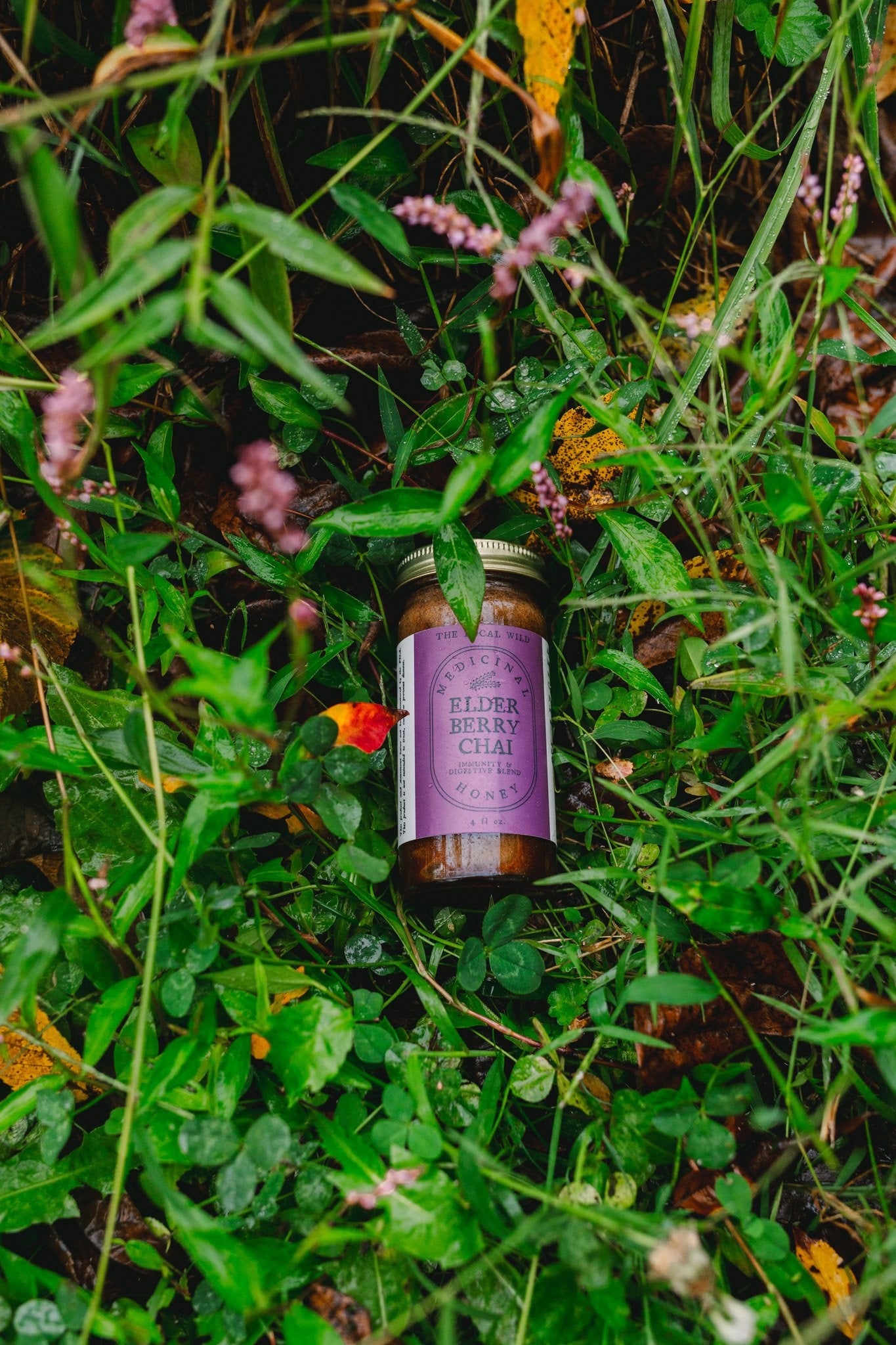 The Cozy Magic of Autumn: Welcoming ‘Elderberry Chai’ to Your Wellness Routine