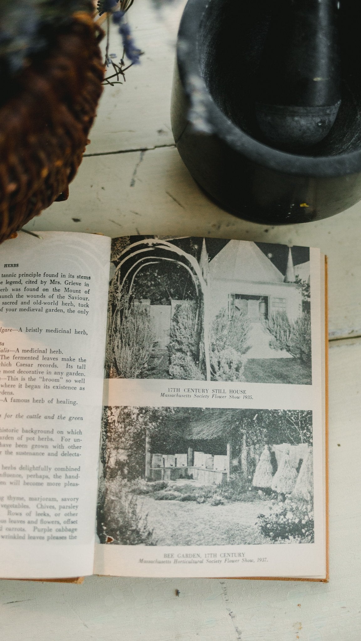 ‘The Still Book’